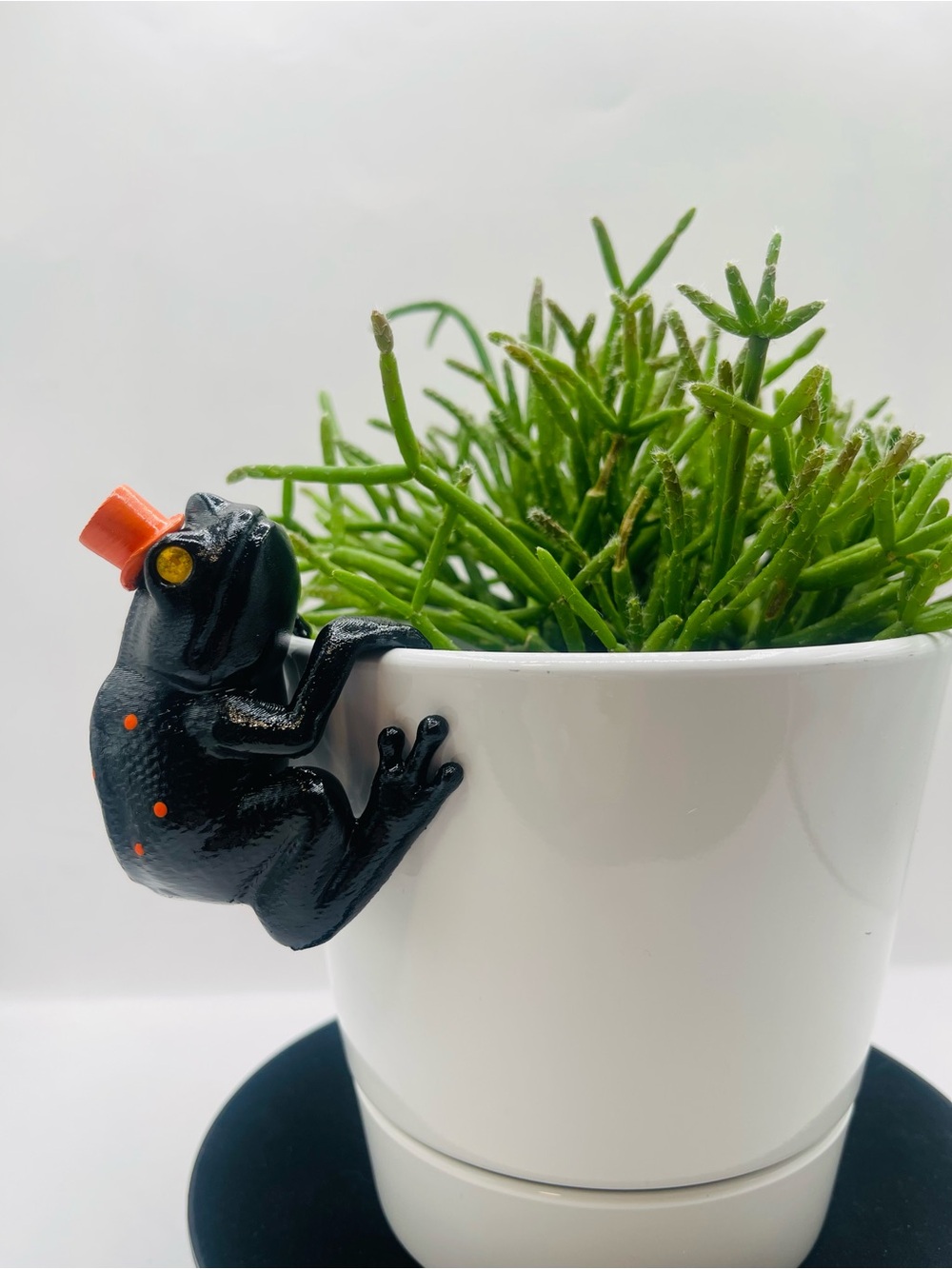 Sir Spooklehop - Black Halloween Hanging Plant Frog - Pot Hugger